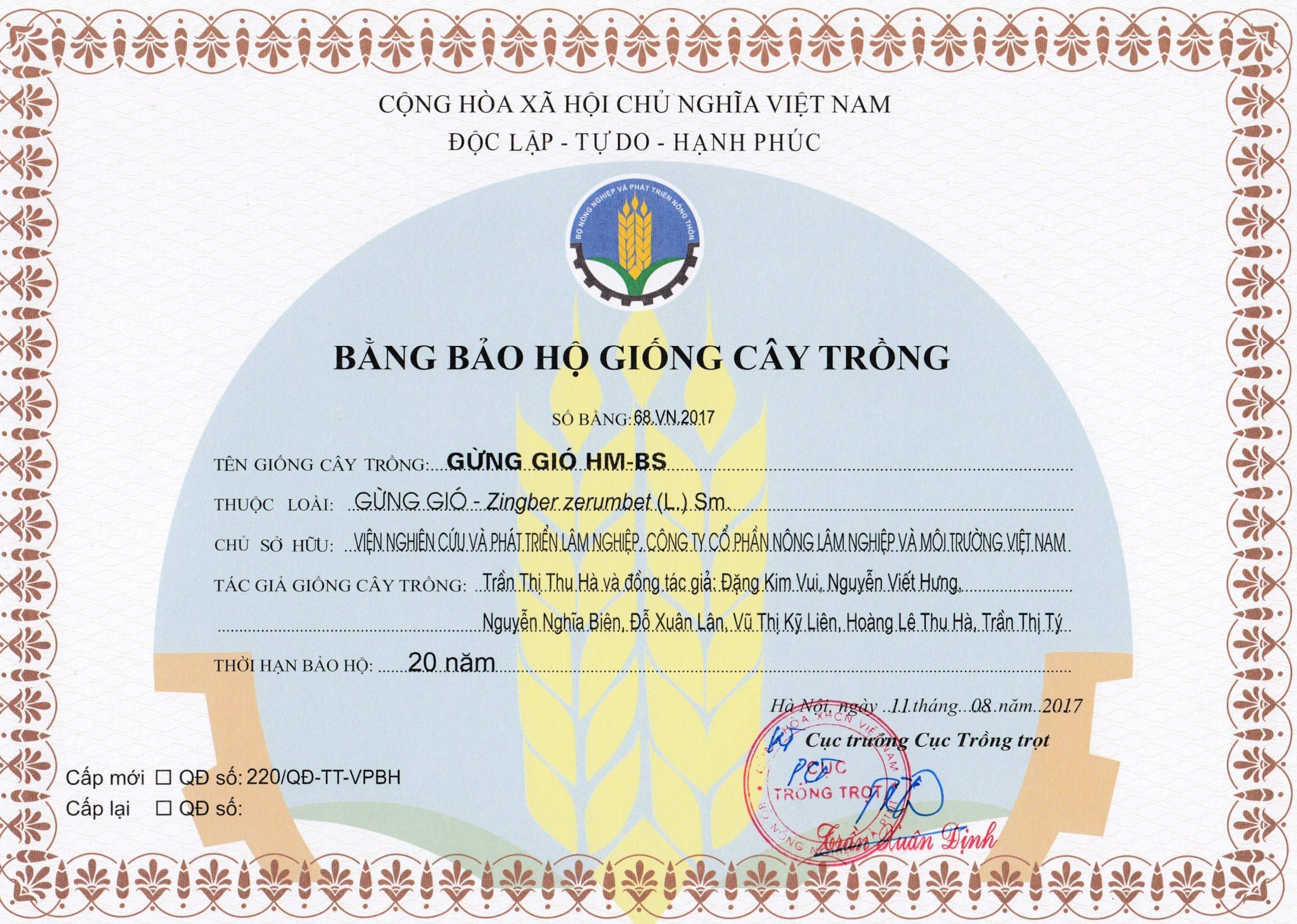 Bằng bảo hộ giống cây trồng Gừng gió