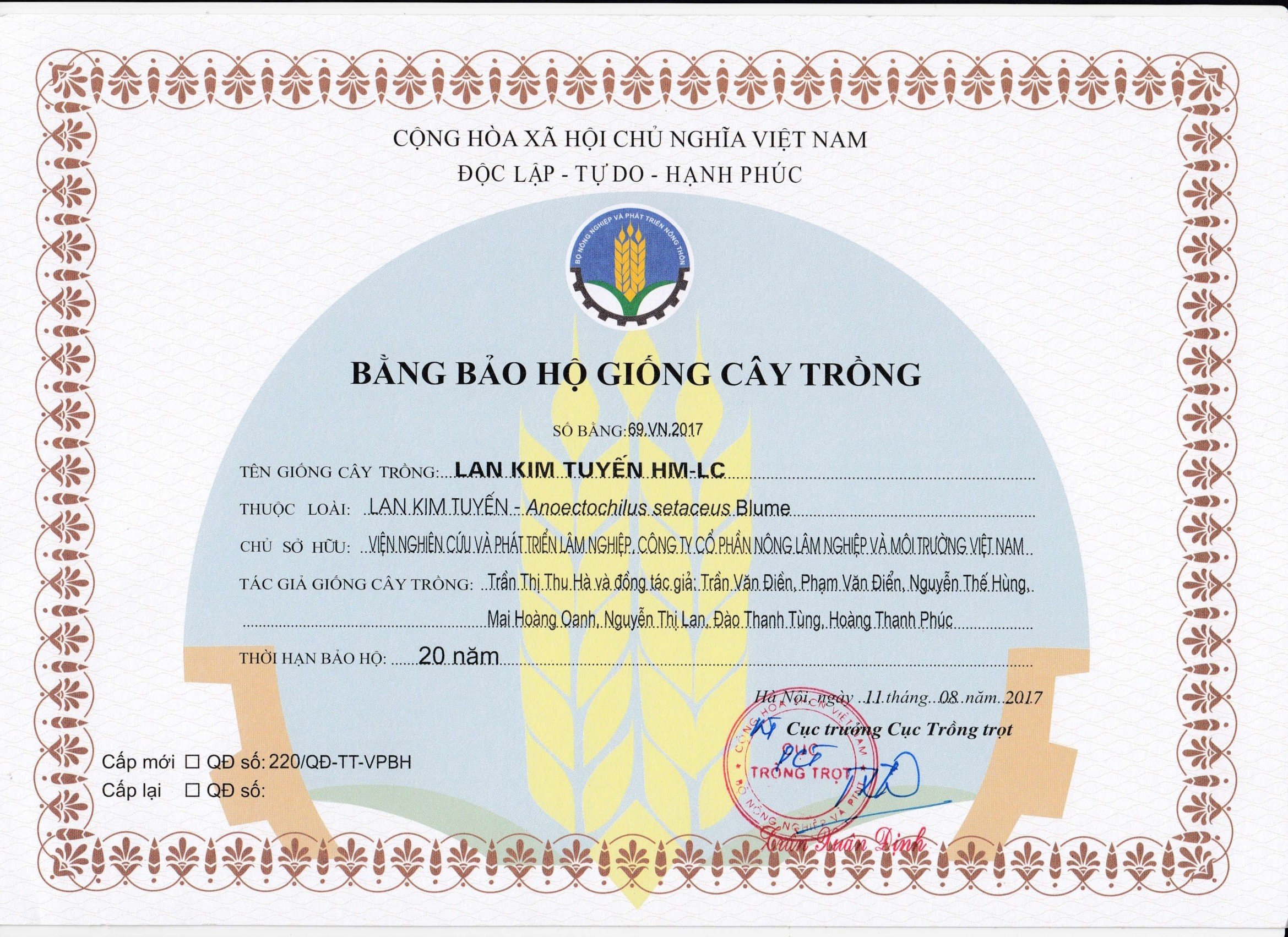 Bảo hộ giống cây trồng Lan Kim tuyến