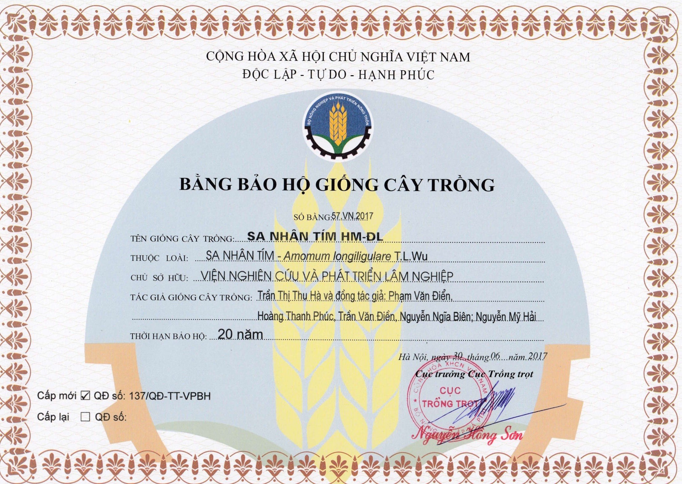 Bằng bảo hộ giống cây trồng Sa nhân tím