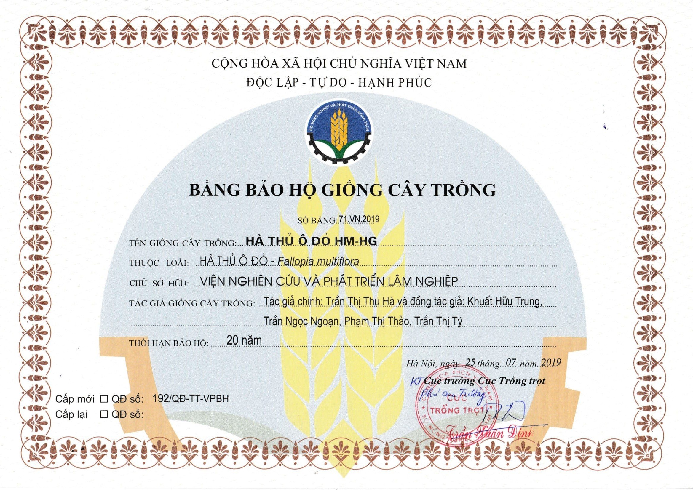 Bằng bảo hộ giống cây trồng Hà thủ ô đỏ