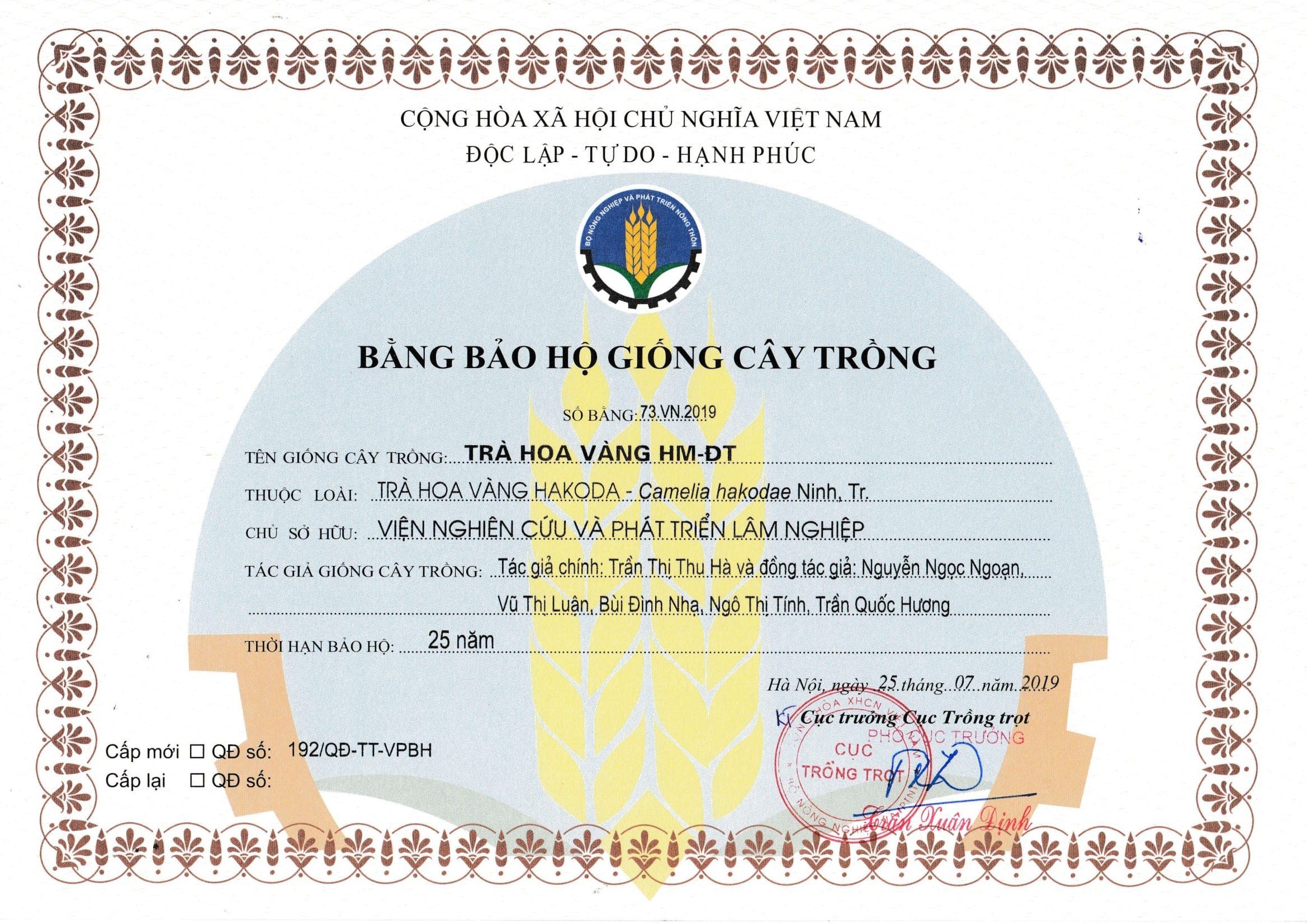 Bằng bảo hộ giống cây trồng Trà hoa vàng
