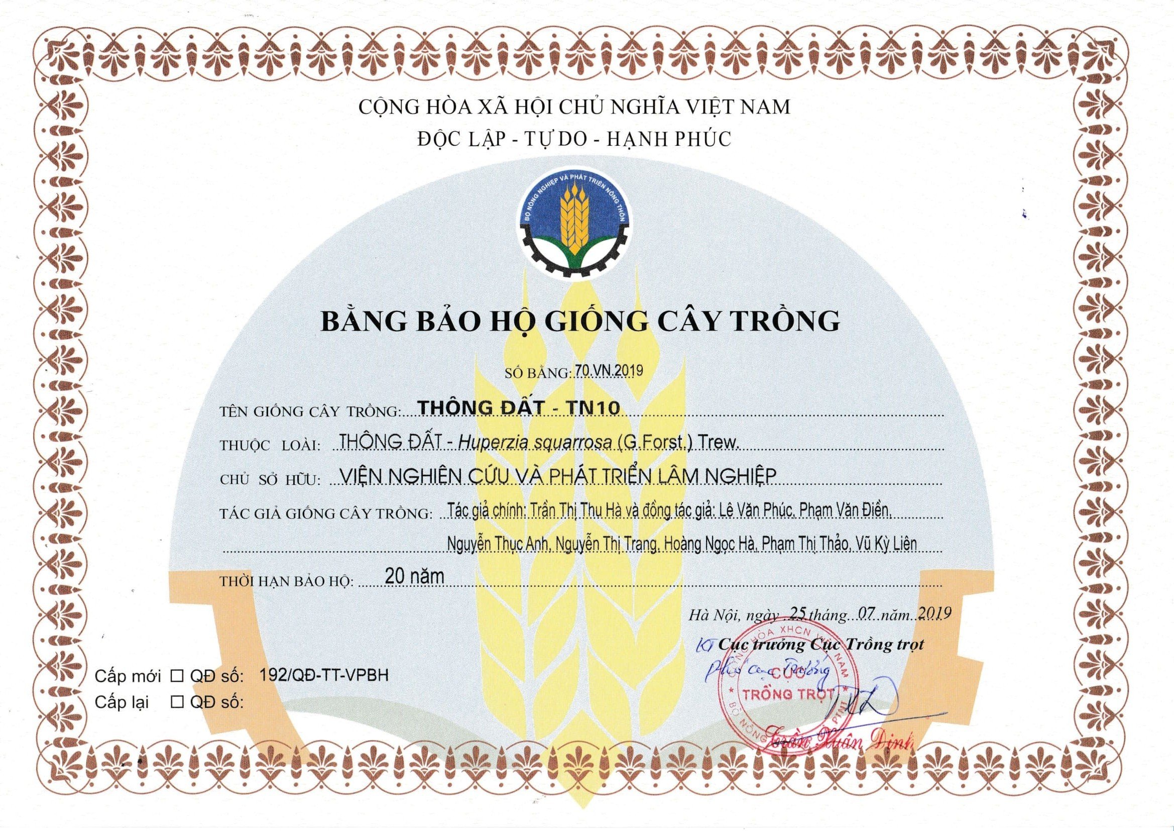 Bằng bảo hộ giống cây trồng Thông đất
