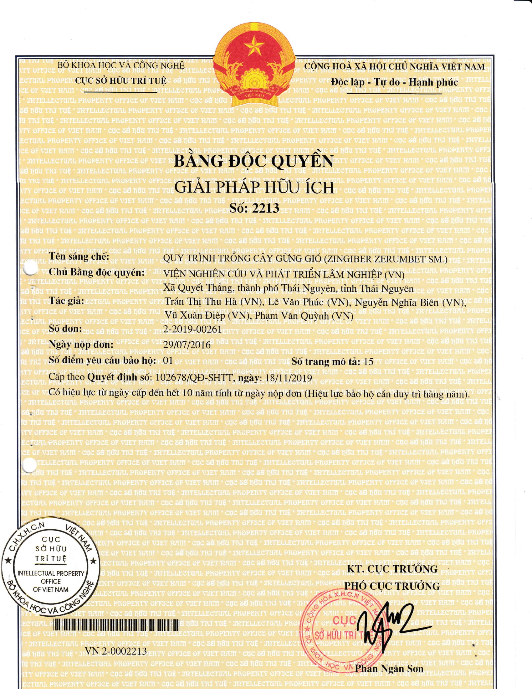 Quy trình nhân giống cây gừng gió