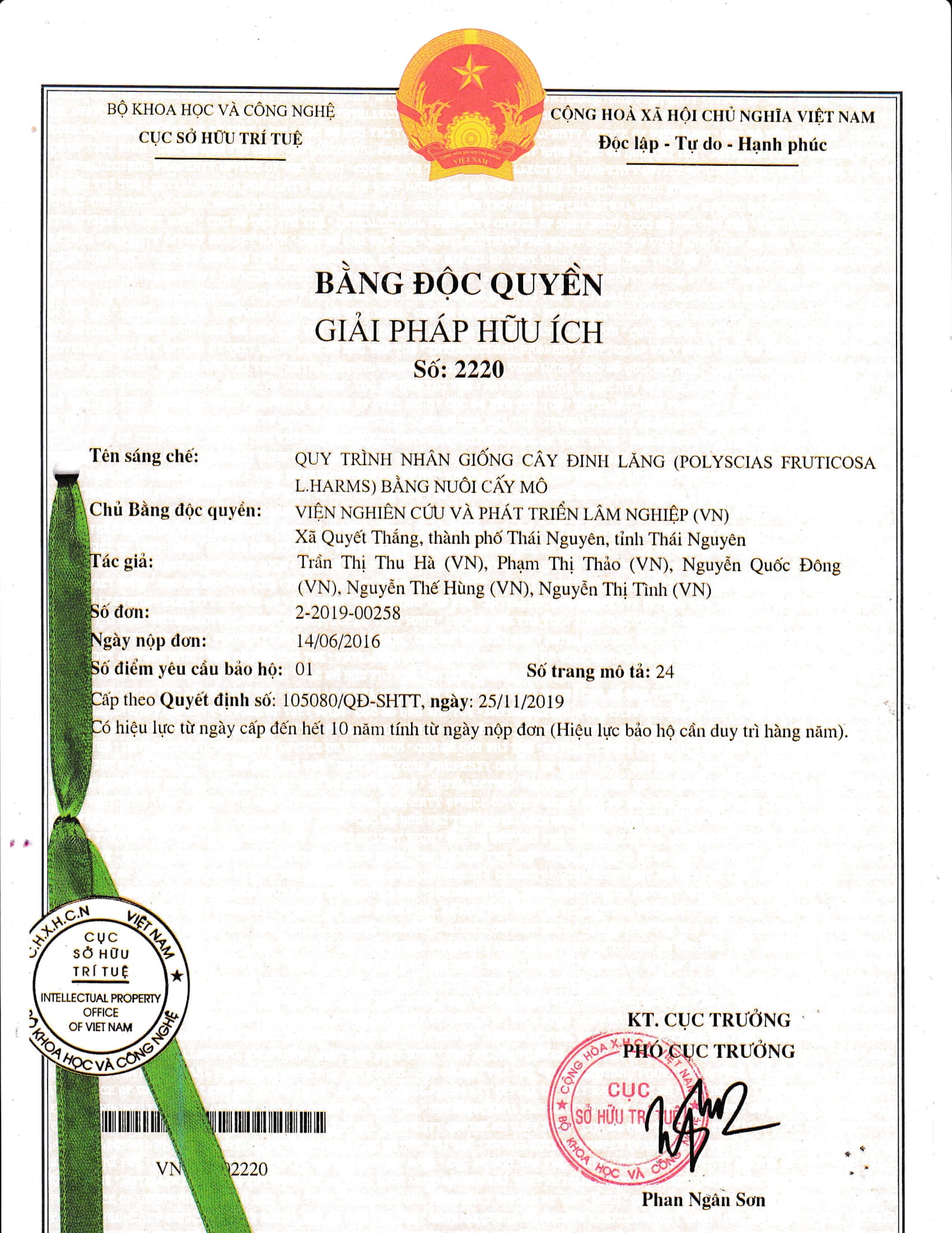 Quy trình nhân giống cây Đinh lăng bằng phương pháp nuôi cấy mô tế bào